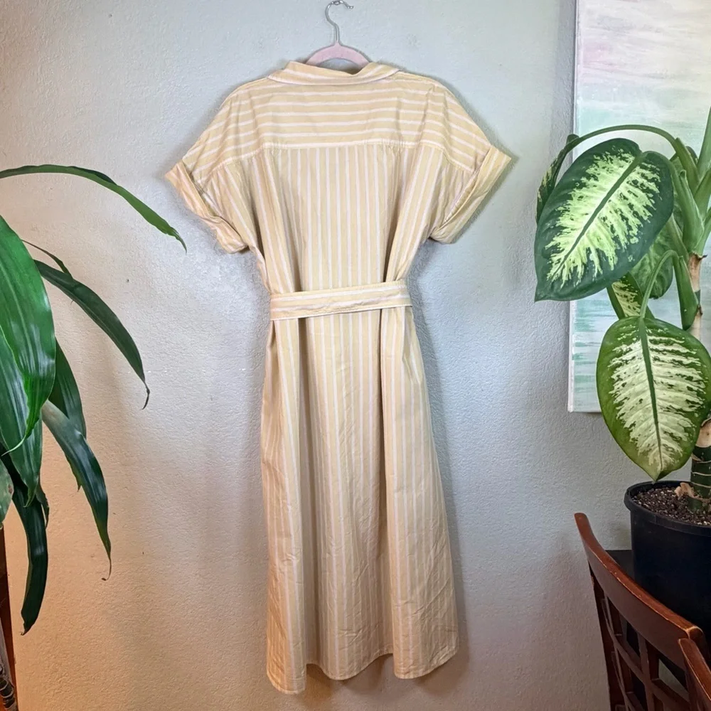 Banana Republic Cotton Butter Yellow White Striped Button Down V Neck Dress L - Picture 7 of 12